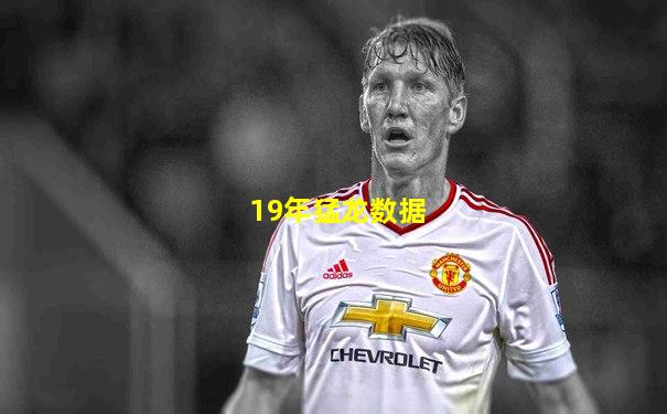 19年猛龙数据
