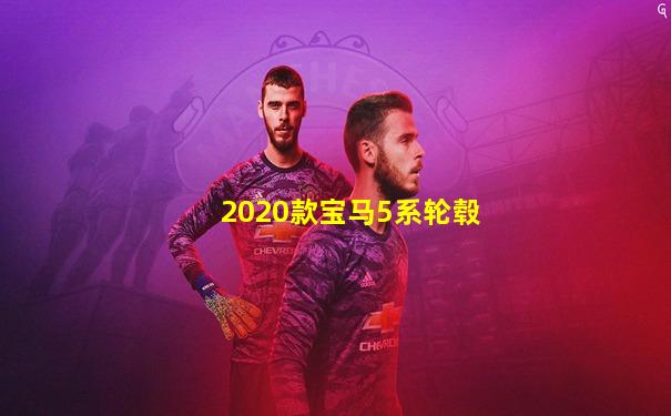 2020款宝马5系轮毂