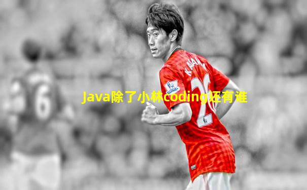 Java除了小林coding还有谁