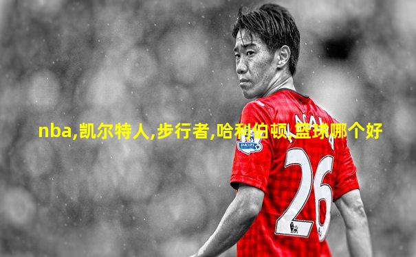 nba,凯尔特人,步行者,哈利伯顿,篮球哪个好