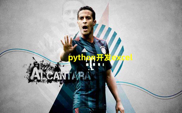 python开发excel