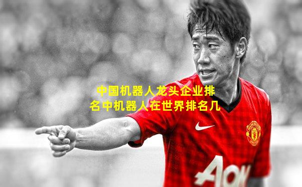 中国机器人龙头企业排名中机器人在世界排名几