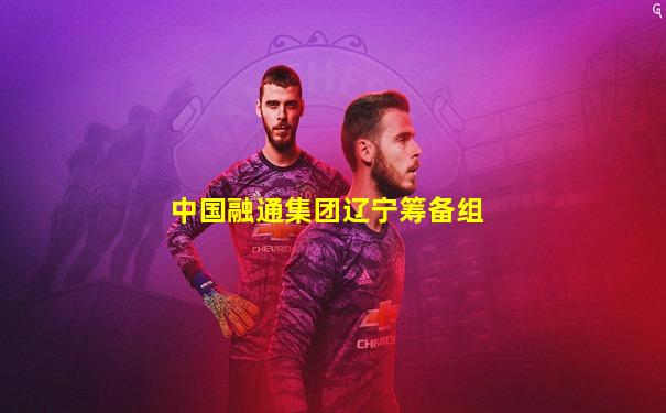 中国融通集团辽宁筹备组