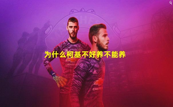 为什么柯基不好养不能养