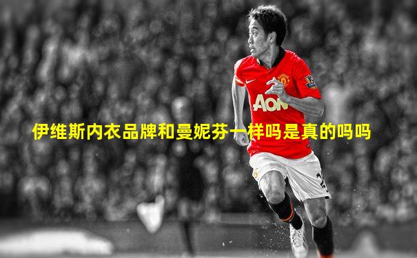 伊维斯内衣品牌和曼妮芬一样吗是真的吗吗