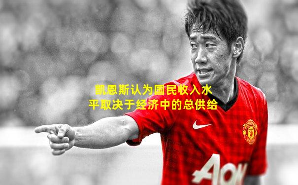 凯恩斯认为国民收入水平取决于经济中的总供给