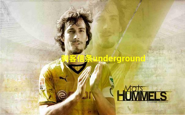 刺客信条underground