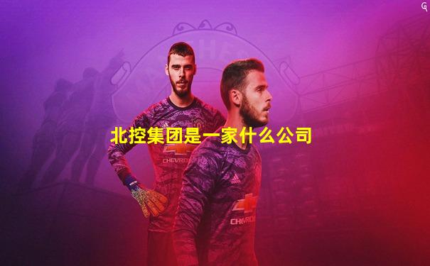 北控集团是一家什么公司