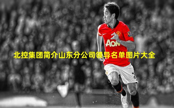 北控集团简介山东分公司领导名单图片大全