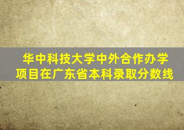 华中科技大学中外合作办学项目在广东省本科录取分数线