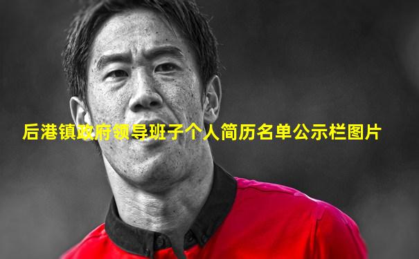 后港镇政府领导班子个人简历名单公示栏图片