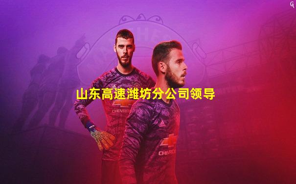 山东高速潍坊分公司领导