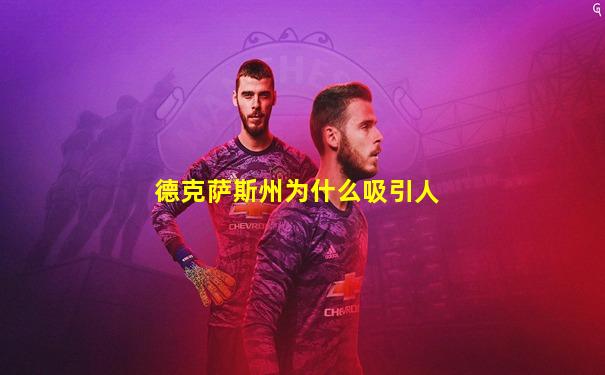 德克萨斯州为什么吸引人