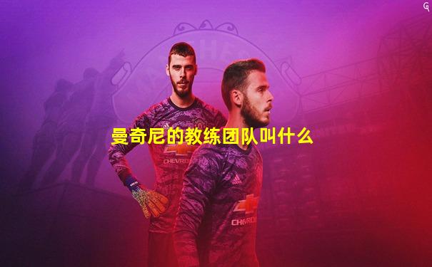 曼奇尼的教练团队叫什么