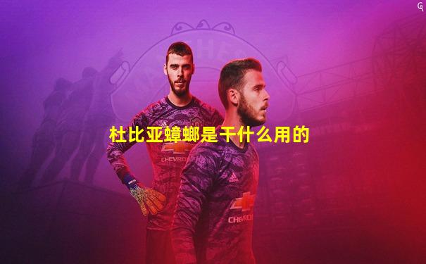 杜比亚蟑螂是干什么用的