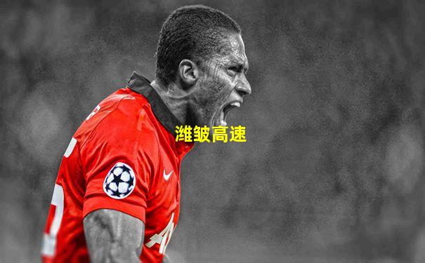 潍皱高速