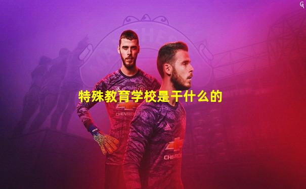 特殊教育学校是干什么的