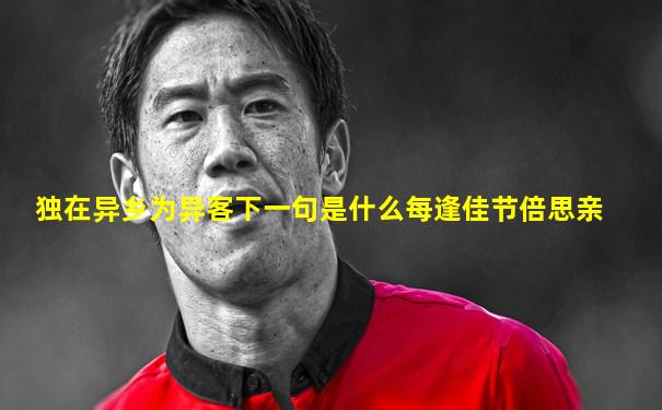 独在异乡为异客下一句是什么每逢佳节倍思亲