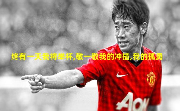 终有一天我将举杯,敬一敬我的冲撞,我的孤勇