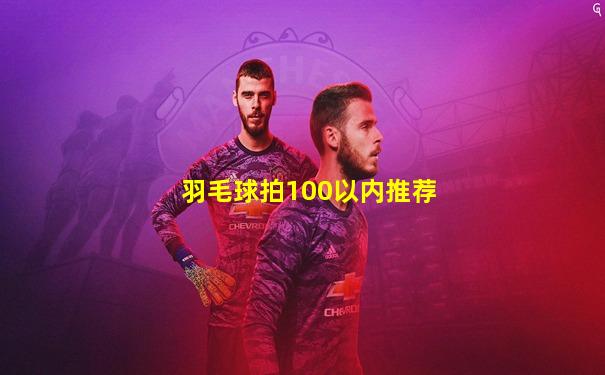 羽毛球拍100以内推荐