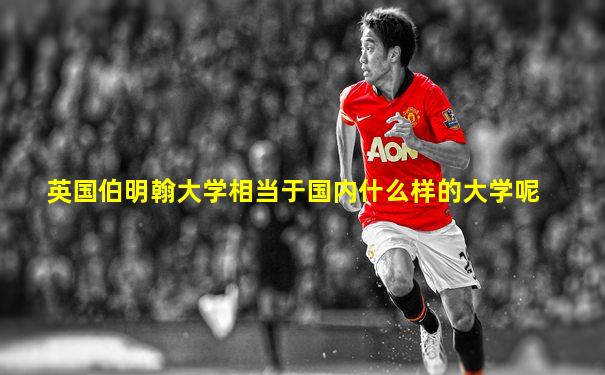 英国伯明翰大学相当于国内什么样的大学呢