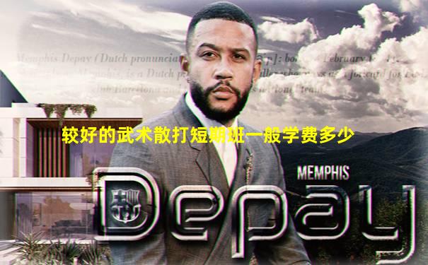 较好的武术散打短期班一般学费多少