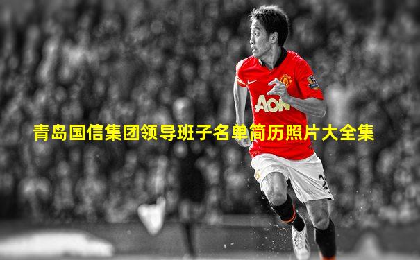 青岛国信集团领导班子名单简历照片大全集