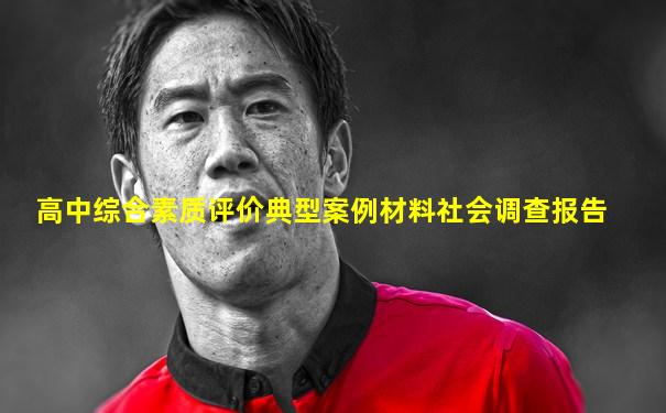 高中综合素质评价典型案例材料社会调查报告